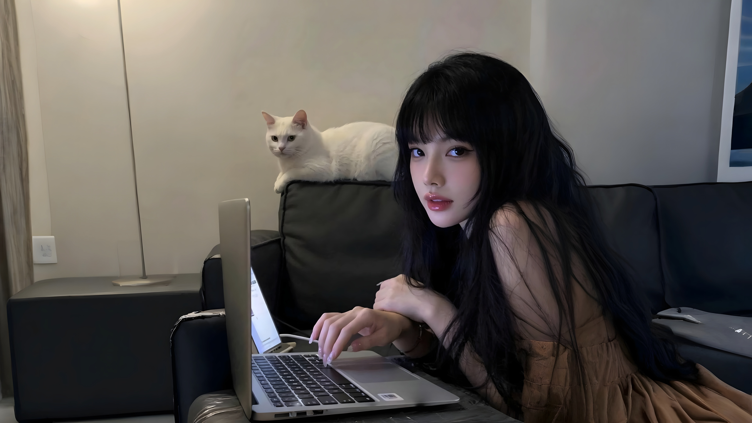 幻灯片-柒月博客